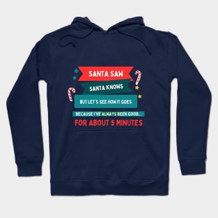 Santa saw funny christmas gift Hoodie